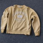 Costes trui maat XL, Ophalen of Verzenden, Zo goed als nieuw, Maat 46/48 (XL) of groter