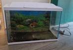 Aquarium, Dieren en Toebehoren, Ophalen, Gebruikt, Leeg aquarium