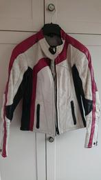 Probiker leren motorjas maat 40, Jas | leer, Ophalen of Verzenden, Dames, Probiker
