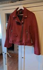 Stoer warm biker jasje, Maat 38/40 (M), Ophalen of Verzenden, Zo goed als nieuw, Clockhouse