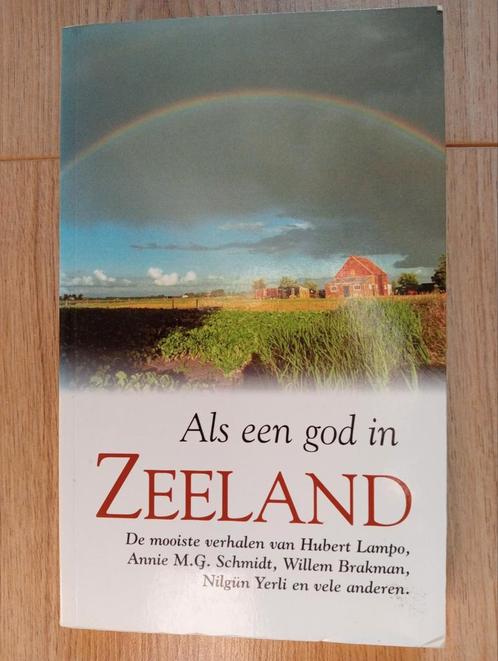 Rinus Ferdinandusse - Als een god in Zeeland, Boeken, Overige Boeken, Gelezen, Ophalen of Verzenden