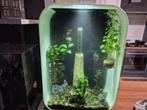 Biorb P60 compleet, Dieren en Toebehoren, Vissen | Aquaria en Toebehoren, Ophalen, Zo goed als nieuw, Gevuld zoetwateraquarium