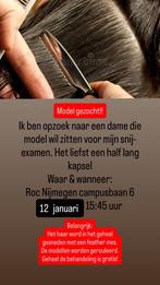 Model gezocht, Variabele uren, Overige niveaus, Starter, Overige vormen