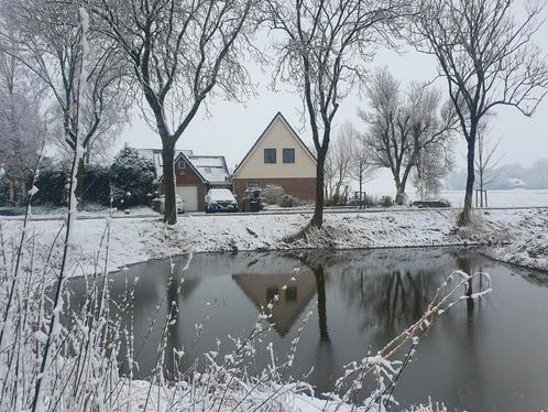 Gezocht karper graskarper vijver vissen, Dieren en Toebehoren, Vissen | Vijvervissen, Karper of Koi