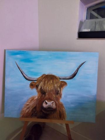 Schotse hooglander op doek  beschikbaar voor biedingen