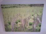 Canvas rijstveld 75x100 cm, Huis en Inrichting, Ophalen, Gebruikt