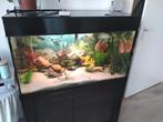 Te koop aqarium 100x50x50 cm.met instelbare ledverlichting, Ophalen, Gebruikt, Gevuld zoetwateraquarium