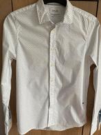 Heren  blouse maat s van de cottonclub in goede staat, Ophalen of Verzenden