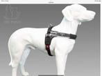 Tre Ponti en trixie riem herder en groter harnas l xl hond, Ophalen of Verzenden, Gebruikt