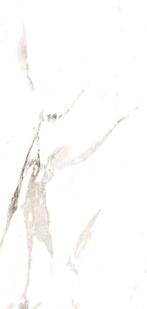 60x120 cm Carrara Wit Glans– Vloer & Wandtegels, 60 cm of meer, Nieuw, Ophalen of Verzenden, 10 m² of meer