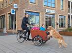 Babboe Big/Dog bakfiets met deurtje ideaal voor families