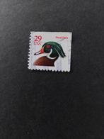 Eend. Dieren. USA., Ophalen of Verzenden, Dier of Natuur