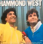 Albert Hammond & Albert West Lp, Cd's en Dvd's, Vinyl | Pop, 1960 tot 1980, Gebruikt, Ophalen of Verzenden