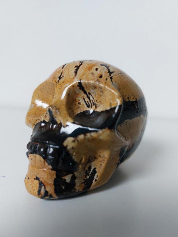 Dendriet Jaspis Schedel, Verzamelen, Mineralen en Fossielen, Ophalen of Verzenden