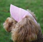 Hondenpetje in verschillende kleuren, Dieren en Toebehoren, Ophalen of Verzenden, Nieuw, Hondenpet