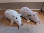 2x IKEA rat knuffel, Ophalen of Verzenden