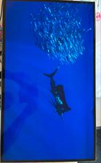 Rog strix Oled 27 inch game monitor, Ophalen, Zo goed als nieuw, Ultra HD (4K), IPS