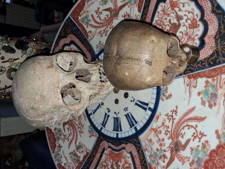 schedel doodskop baby skul zeldzaam skelet, Antiek en Kunst, Antiek | Overige Antiek, Verzenden