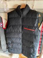 Prada bodywarmer nooit gedragen!, Kleding | Heren, Bodywarmers, Ophalen, Nieuw