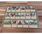 Vintage houten puzzel leesplankje, Kinderen en Baby's, Speelgoed | Educatief en Creatief, Ophalen of Verzenden, Gebruikt