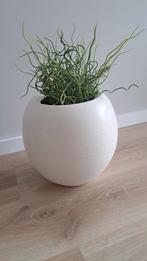 Bloempot met kunstplant (alleen ophalen), Tuin en Terras, Bloempotten, Ophalen, Rond, Binnen, Zo goed als nieuw