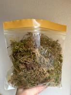 Sphagnum mos voor stek en kamerplant, Ophalen of Verzenden