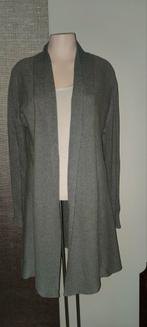Vest Repeat, Kleding | Dames, Ophalen of Verzenden, Zo goed als nieuw, Grijs, Maat 38/40 (M)