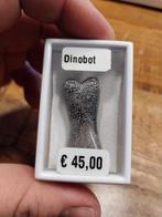 Gepolijst dinosaurus bot  grijs bruin, Ophalen of Verzenden