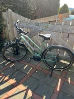 Elektrische fiets met Bosch middenmotor #Kalkhoff, Gebruikt, 51 tot 55 cm, 50 km per accu of meer, Ophalen