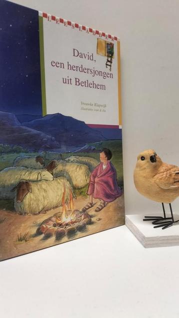 Klapwijk, Vrouwke; David, een herdersjongen uit Bethlehem  beschikbaar voor biedingen