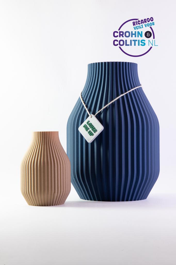 Ricardo Veilt: Viora/Viato vazen set, Huis en Inrichting, Woonaccessoires | Vazen, Nieuw, Overige kleuren, Minder dan 50 cm, Overige materialen