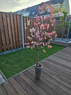 Bloesemboom met echte houten stam 180cm, Ophalen, Zo goed als nieuw, Binnen