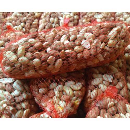 Pindanetjes 50 stuks (10kg) - Buitenvogelvoer, Dieren en Toebehoren, Dierenvoeding, Vogel, Verzenden