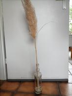 Pampas pluim in mooie fles., Ophalen of Verzenden, Zo goed als nieuw