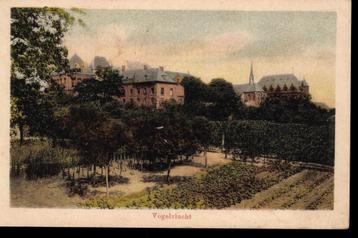 Venraij (L.), Pensionaat Jerusalem, ca. 1920, gelopen beschikbaar voor biedingen