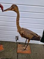 Grote staande bruine reiger in goede staat (+meer vogel)., Verzamelen, Ophalen of Verzenden, Zo goed als nieuw, Opgezet dier