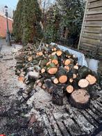 Brandhout te koop – eikenhout – per kuub, Tuin en Terras, Haardhout, Minder dan 3 m³, Ophalen of Verzenden, Eikenhout, Blokken