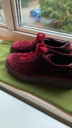Santoni.Bordeauxrode fluwelen damesschoenen. Maat 39, Ophalen of Verzenden, Rood, Sneakers of Gympen, Zo goed als nieuw
