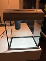 Tetra aquarium 30 liter, Ophalen, Zo goed als nieuw, Leeg aquarium