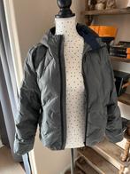 Grijze tommy Hilfiger puffer winterjas, Ophalen of Verzenden, Zo goed als nieuw, Jongen, Jas