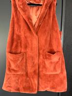 Roestkleurige Bodywarmer met Capuchon, Bruin, Maat 46/48 (XL) of groter, Ophalen of Verzenden, Gedragen