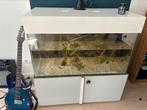Fish tank for sale, Dieren en Toebehoren, Vissen | Aquaria en Toebehoren, Ophalen of Verzenden, Leeg aquarium