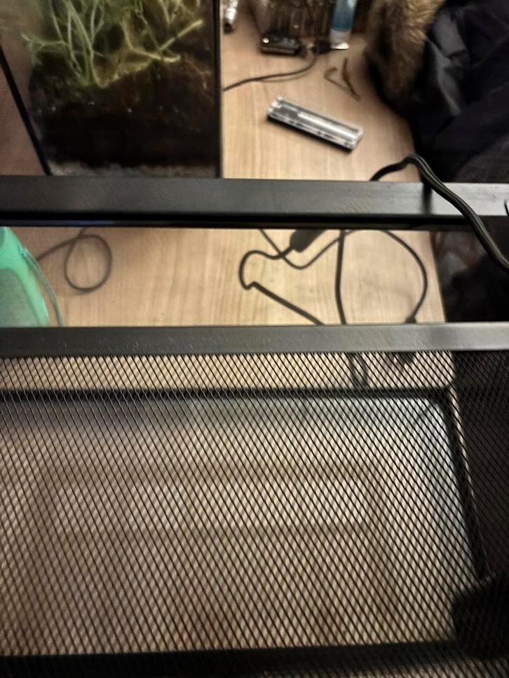 Terrarium, Dieren en Toebehoren, Reptielen en Amfibieën | Toebehoren, Zo goed als nieuw, Ophalen