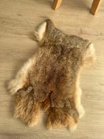 Kleedje van echt bont, Minder dan 50 cm, Gebruikt, 50 tot 100 cm, Wit