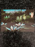 Efteling Indische Waterlelies Ansichtkaart, Ophalen of Verzenden, 1960 tot 1980, Ongelopen, Overig Europa