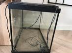Aquarium, Dieren en Toebehoren, Vissen | Aquaria en Toebehoren, Ophalen, Zo goed als nieuw, Leeg aquarium