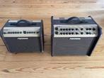 Fishman loudbox Mini en Artist., Ophalen of Verzenden, Gebruikt, Gitaar