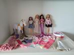 Barbie poppen, Ophalen of Verzenden, Gebruikt, Barbie