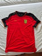 Voetbalshirt Kipstra maat L, Maat L, Ophalen of Verzenden, Zo goed als nieuw, Shirt