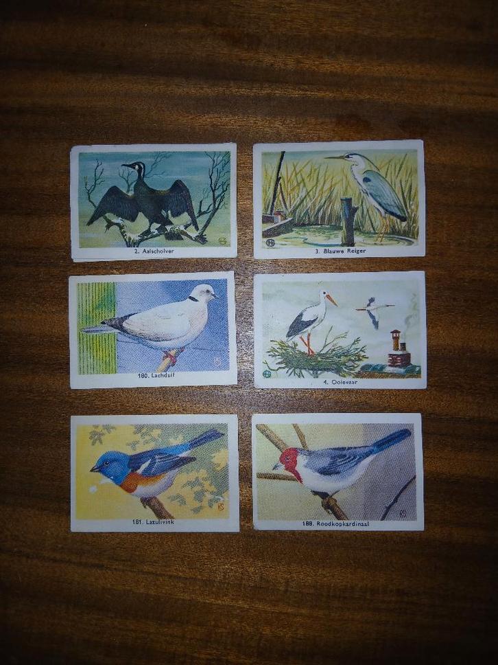 plaatjes van ruim 60 jaar gelden, Verzamelen, Foto's en Prenten, Gebruikt, Prent, Natuur, 1960 tot 1980, Ophalen of Verzenden